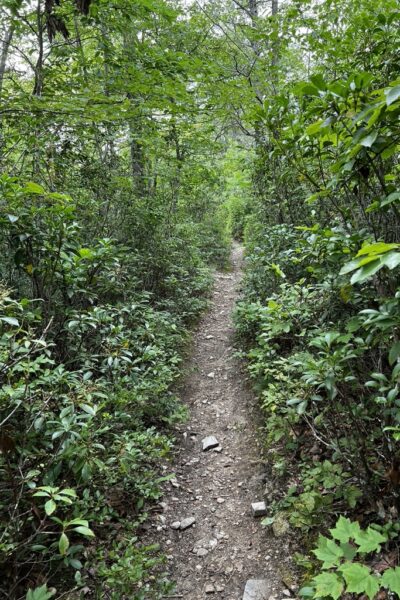 Shenandoah National Park - Trail