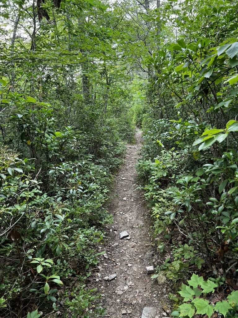 Shenandoah National Park - Trail