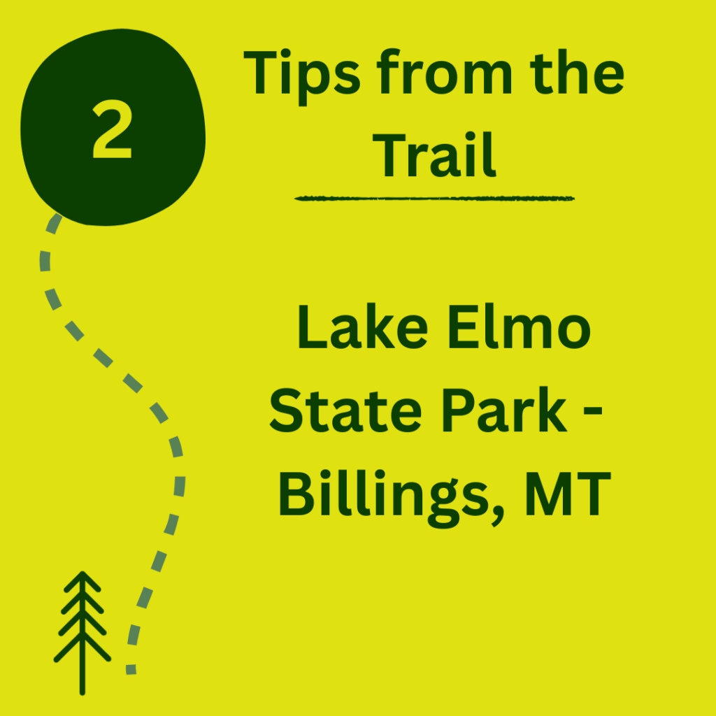 I recently took the dogs for a walk at Lake Elmo State Park. Learn more about how I prepared and what I learned.