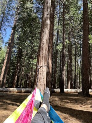 Kings Canyon National Park