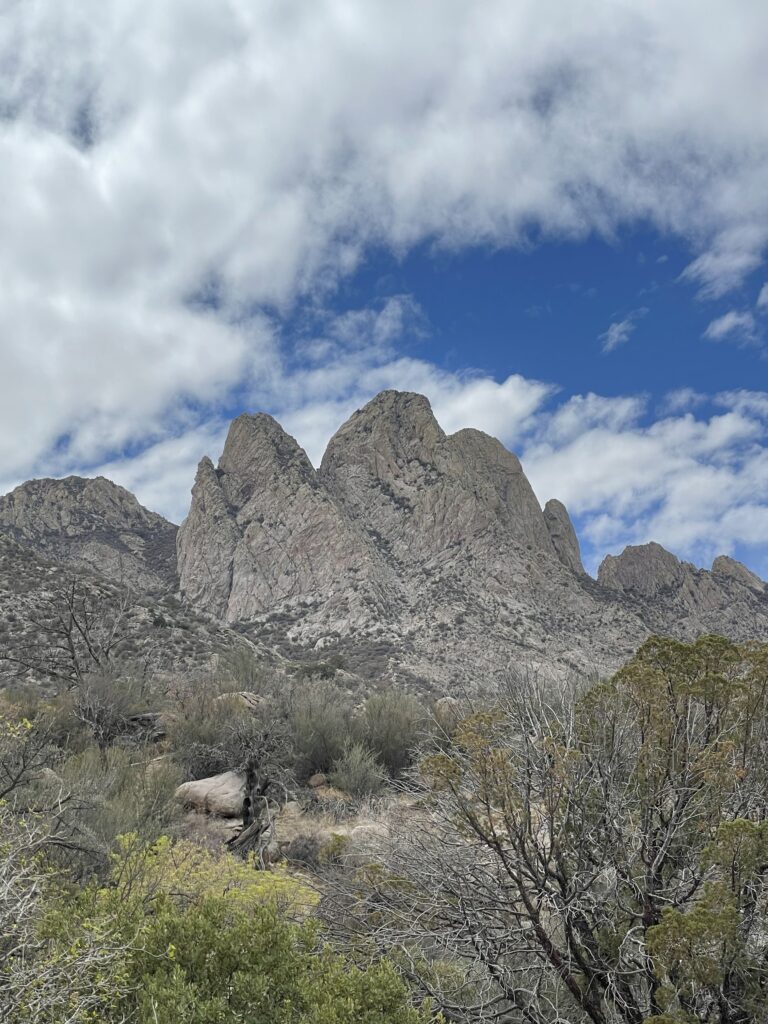 The jagged spires of the Organ Mountains above Aguirre Spring