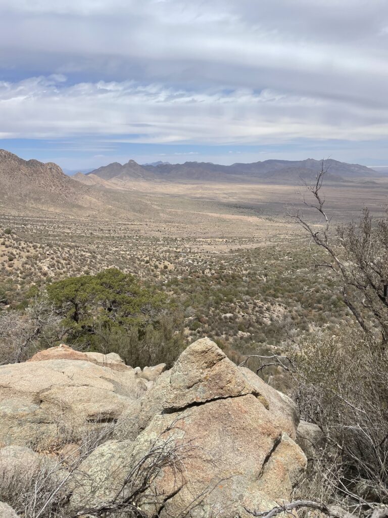 Looking down across the basin from the Pine Tree Trail above Aguirre Spring