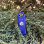 Birdie holiday feature image