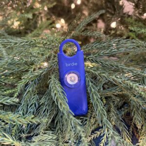 Birdie holiday feature image Birdie holiday feature image