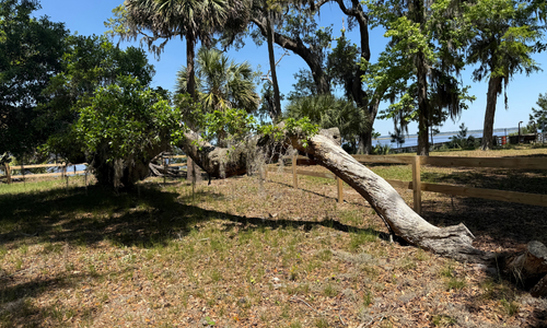 E40 - Fort McAllister State Historic Park (Georgia)