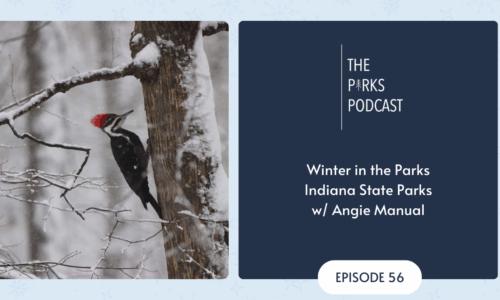 E56 - YouTube Thumbnail