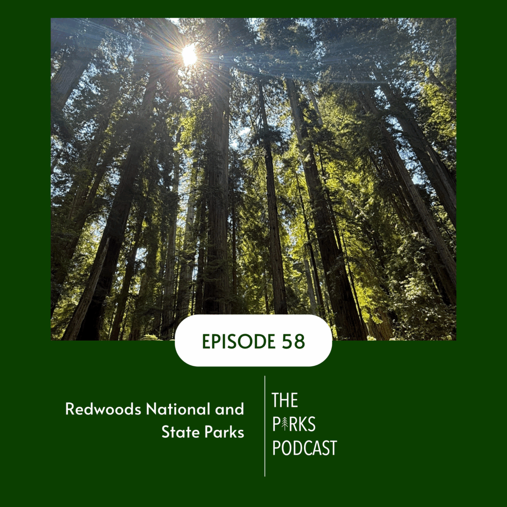 Redwoods National State Park is home to the largest trees in the world as well as amazing rivers, oceans, and animals.