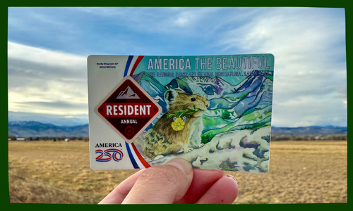 E61 - Website header