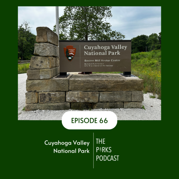 E66 - Featured Image E66 - Featured Image