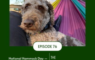 Episode 76 information card with photo of goldendoodle in a hammock