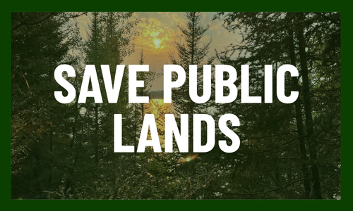 E81 - Website Image image of Boundary Waters with "Save Public Lands" written over in white.