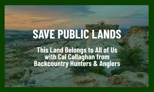 Image from Bears Ears National Park with Save Public Lands written on top of the image