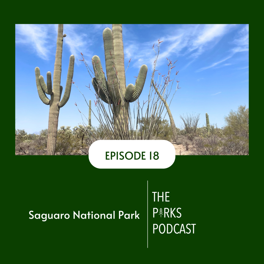 Saguaro National Park boasts a diverse ecosystem where you can experience saguaros in one area and pine trees in another.  The rich cultural history is worth celebrating in this episode of The Parks Podcast.