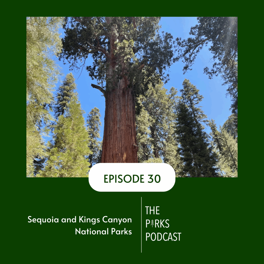 Sequoia and Kings Canyon National Parks are home to two of the largest trees in the world. The parks host large conservation efforts and incredible recreation activities.