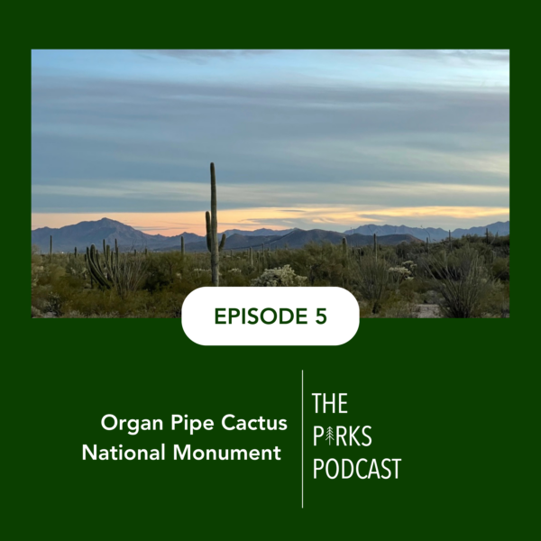 Episode 5 - The Parks Podcast Featured Artwork Episode 5 - The Parks Podcast Featured Artwork