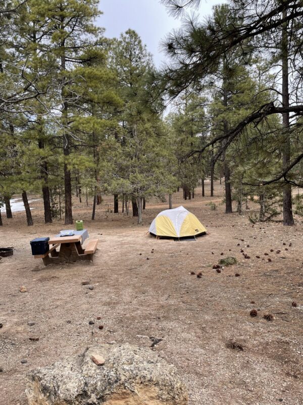 GRCA - Campsite A yellow tent and picnic table at a Mather Campground site among ponderosa pines