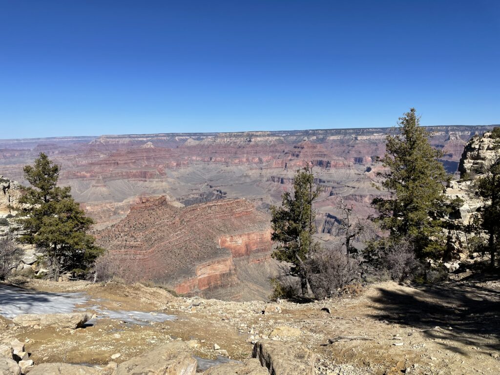 GRCA - Canyon The Grand Canyon seen from the South Rim, framed by pines under a clear blue sky