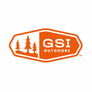 GSI logo
