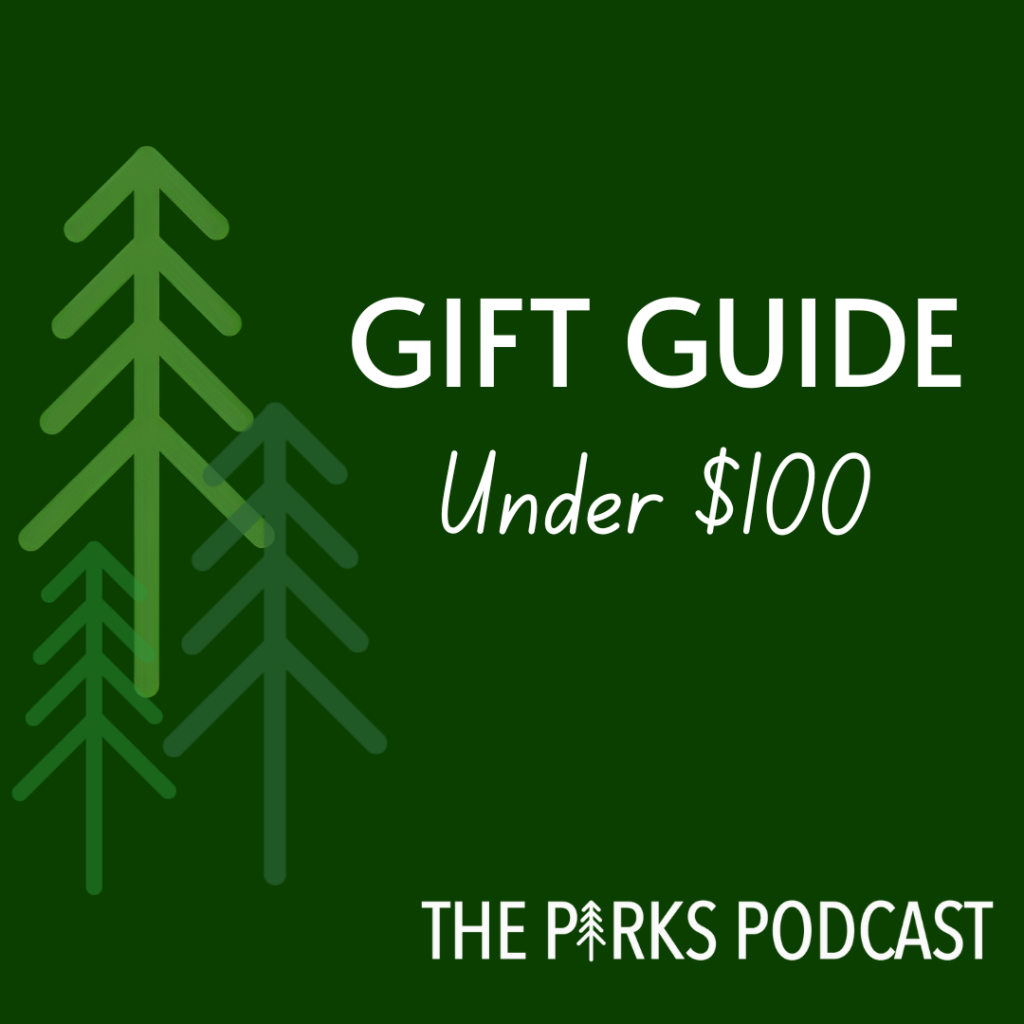 Gift Guide: Under $100