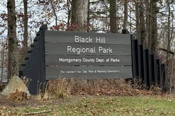 Black HIll Regional Park - featured image