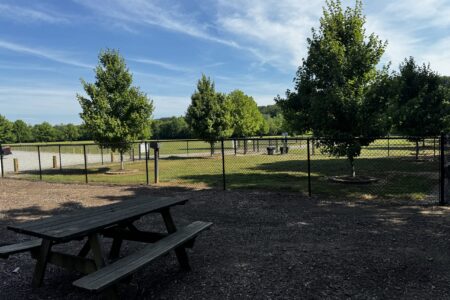 Tucker Lake - Dog Park