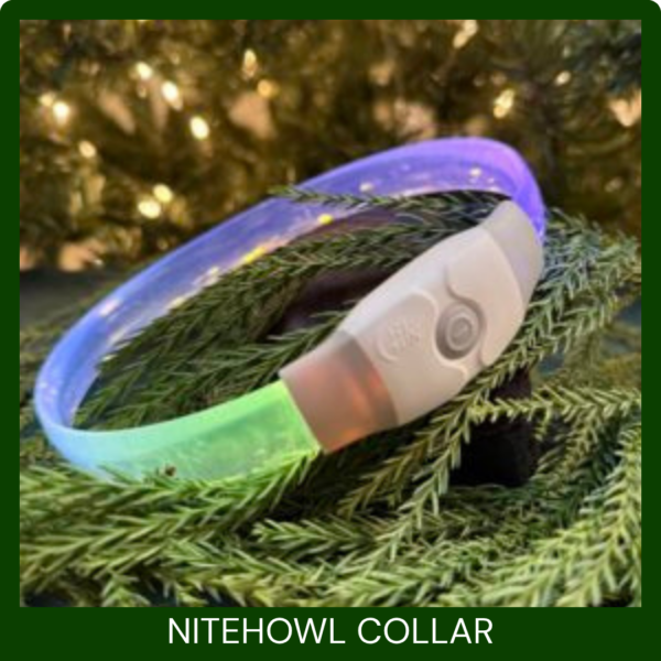 NITEHOWL COLLAR FEATURE IMAGE