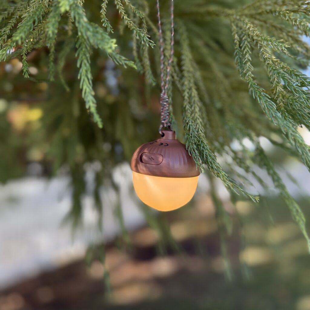 The NutLit is whimsical and functional. It's easy to hang and provide the perfect light at your campsite, shed, or blanket fort.