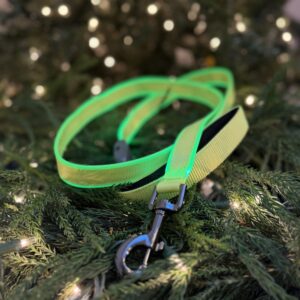 NiteIze Leash - featured image