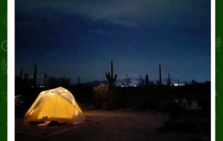 night time at Organ Pipe Cactus. Dome tent is lit from within and you can see the outline of cacti against the dark sky