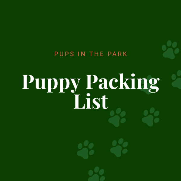 Puppy Packing List - feature image