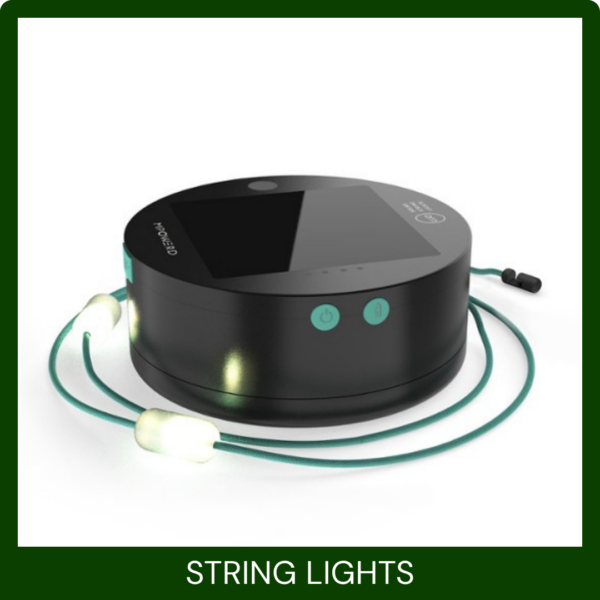 String Lights - White feature image