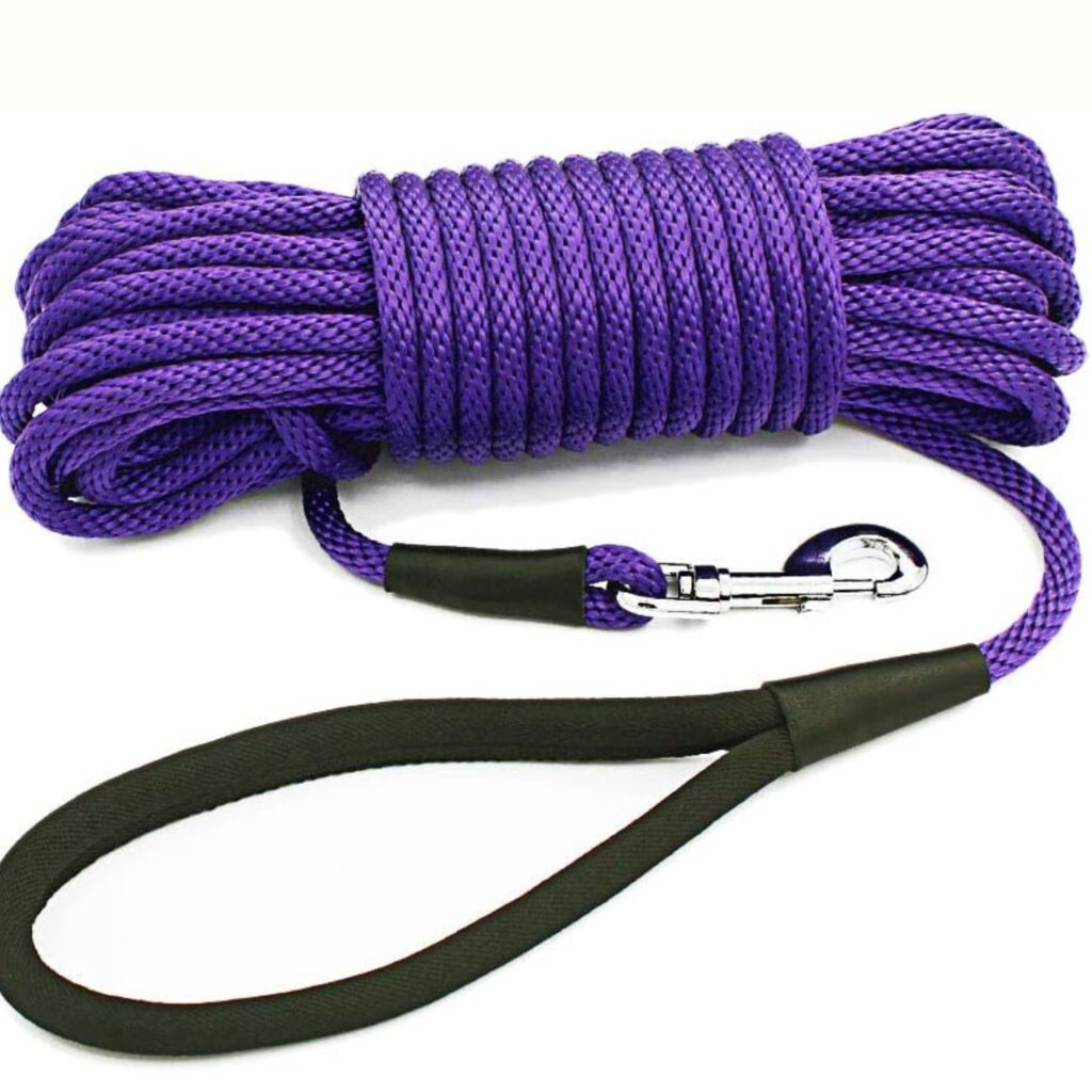 Long Leash