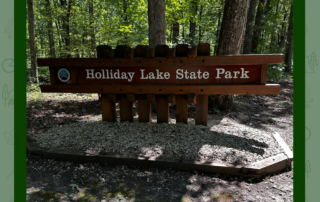 Holliday Lake State Park sign at the front of the park