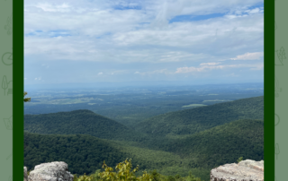 Overlook at Shenandoah National Park