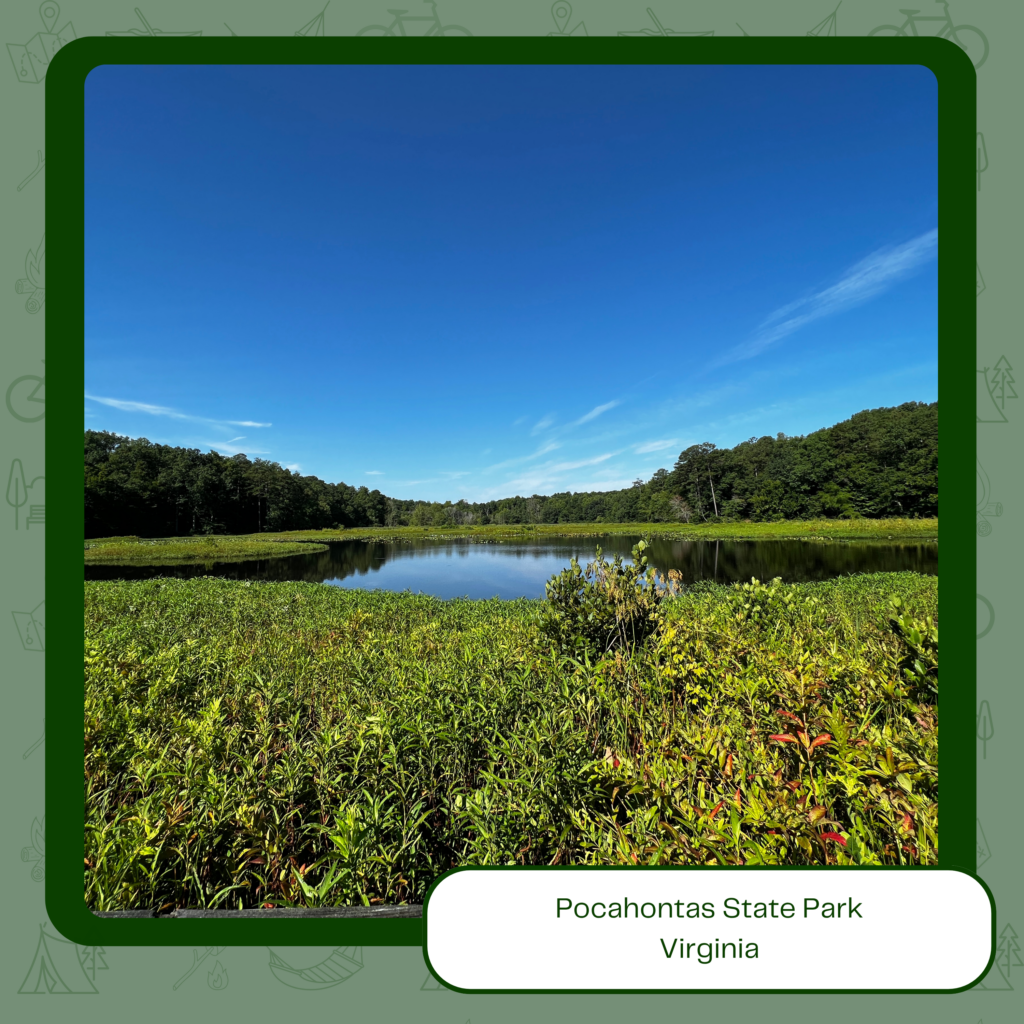 Photo of lake at Pocahontas State Park