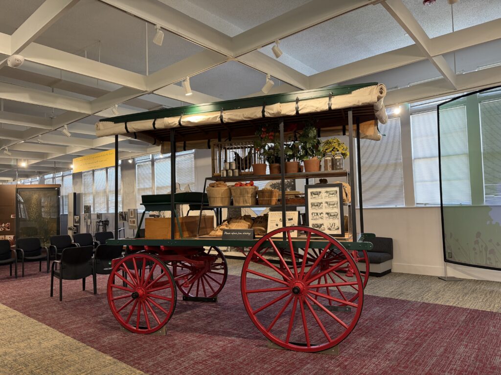 TINHS - cart