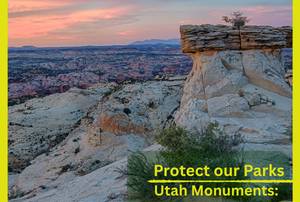 Image of Bears Ears National Monument with copy to protect our parks