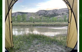 Theodore Roosevelt National Park, North Dakota — a tent lit up under a cottonwood tree at dusk