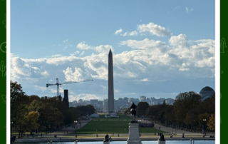 The Washington Monument