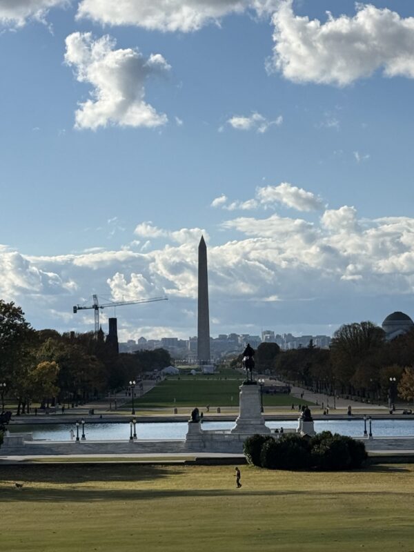 WAM - from afar The Washington Monument seen from the far end of the National Mall, small in the distance beyond the lawn and trees