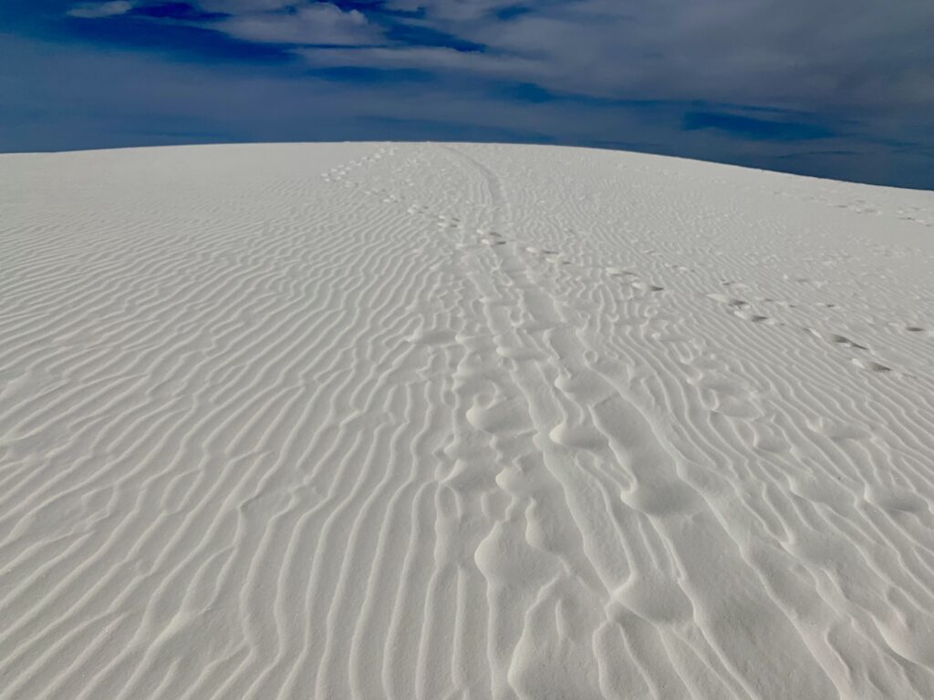 WSNP - footprints A line of footprints running up a gypsum dune at White Sands National Park