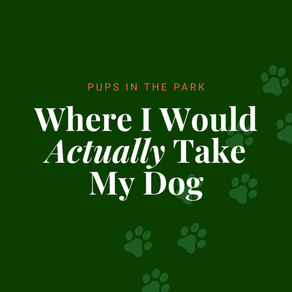 'd take my dog - feature image