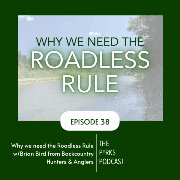 Why we need the Roadless Rule - featured image Why we need the Roadless Rule - featured image