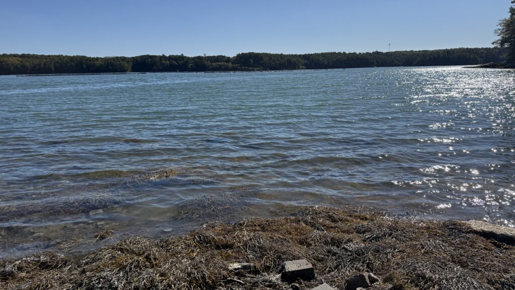 fpnm - river The Damariscotta River seen from the trail at Frances Perkins National Monument