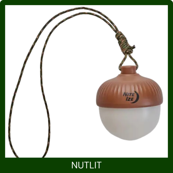 nite light FEATURE IMAGE