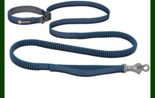 Ruffwear Roamer bungee dog leash