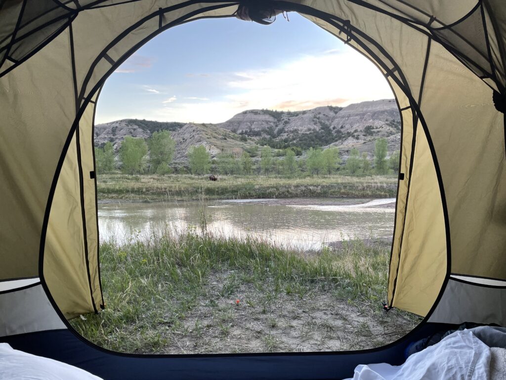 trnp-bison-grazing View from inside a tent at Cottonwood Campground, looking across the Little Missouri River to a bison grazing on the far bank