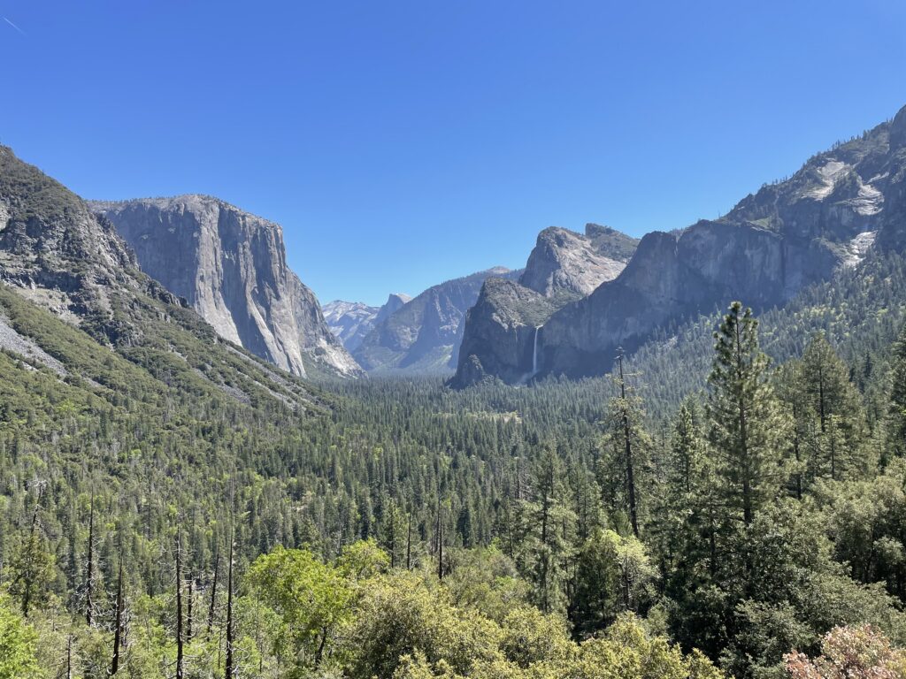 ynp - el capitan and half dome El Capitan and Half Dome seen from the valley floor, Yosemite National Park